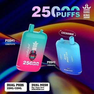 Bang King 25000 puff Disposable Vape 25k Dual Pods