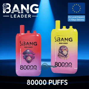 Bang Leader 80K – 80000 Puffs , Three Flavor , Dual Mesh Coils , Type-C fast charging port