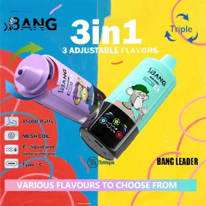BANG LEADER 85K– – 85,000 Puffs, 3-in-1 Flavors, Mesh Coil & Type-C Charging