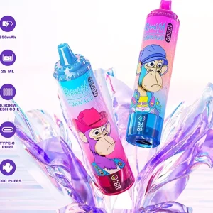 China Warehouse RandM Tornado 15000 Puffs Wholesale 15k Vape FUMOT MOQ 50