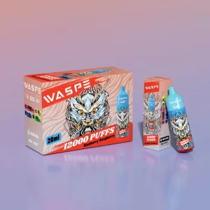 Cool Vapes WASPE Tornado 12000 Puffs Great Review