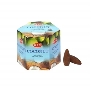 HEM Backflow Cones - Coconut Backflow Incense 40 Cones