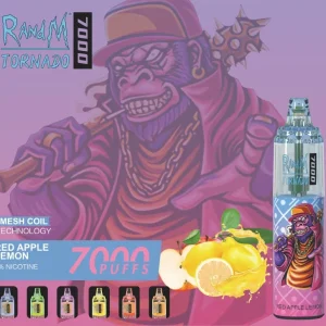 Hot Sale RandM Tornado 7000 Puffs Disposable Vape