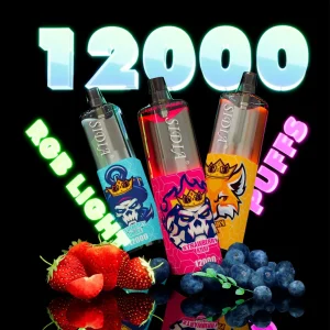 Sidia 12000 Puff Disposable Vape Great Flavors